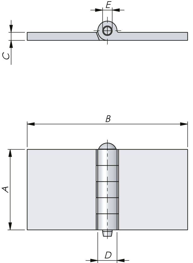 Heavy-Duty Weld-On Hinge