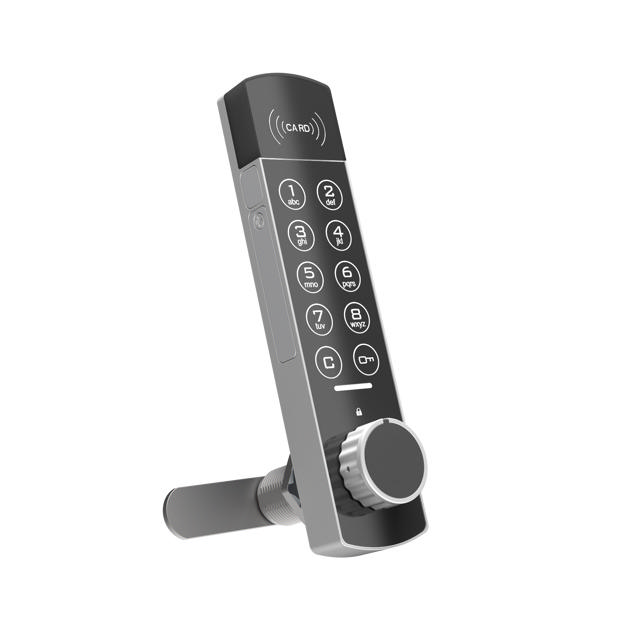 Keyfree RFID Keypad Lock 320